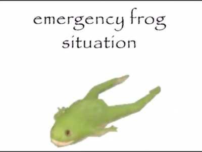 Emergency frog situation! 