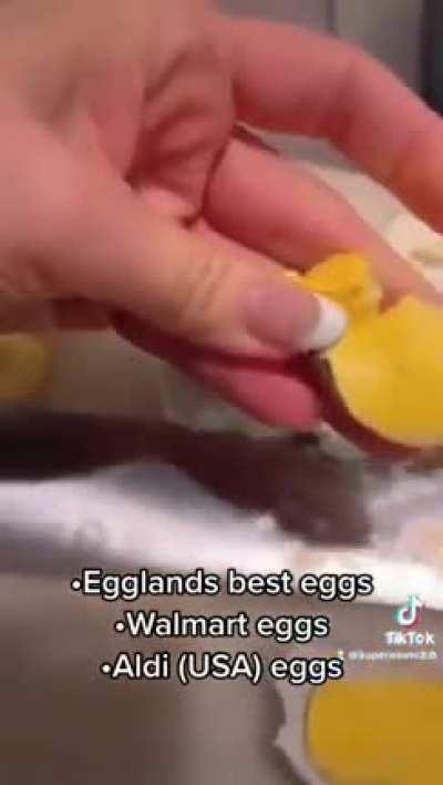 Eggs aren't real!