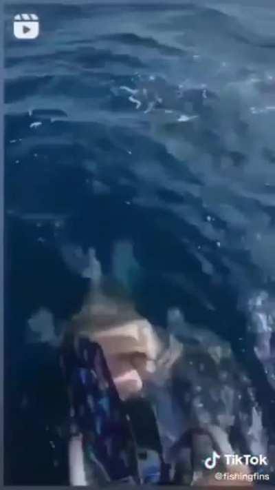 To do snorkeling