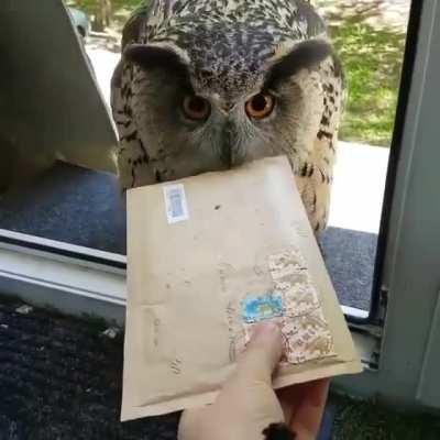 Letter from Hogwarts