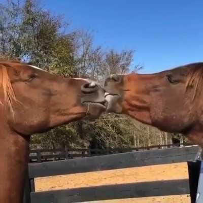 The first kiss