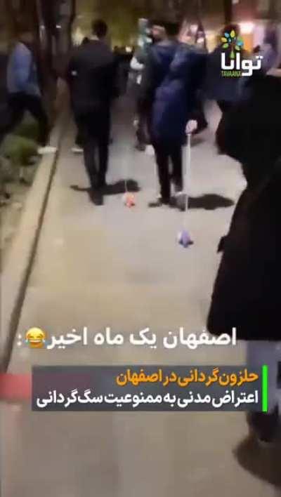 After goverment in Iranian city of Isfahan forbid to walk dogs, people started to walk toy snails - Improvise Adapt Overcome