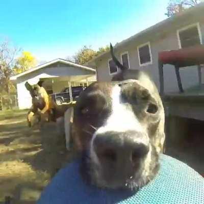 The only reason we have a GoPro...