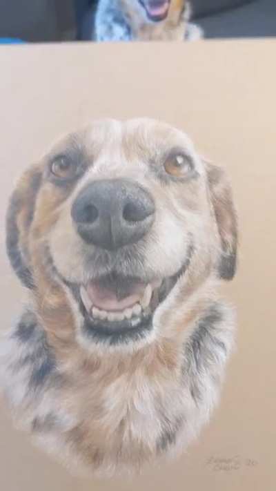 The artist captured my dog's smile perfectly