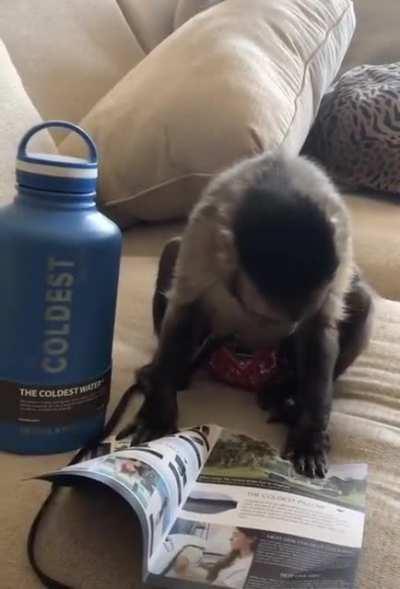 Curious George unboxing a water bottle