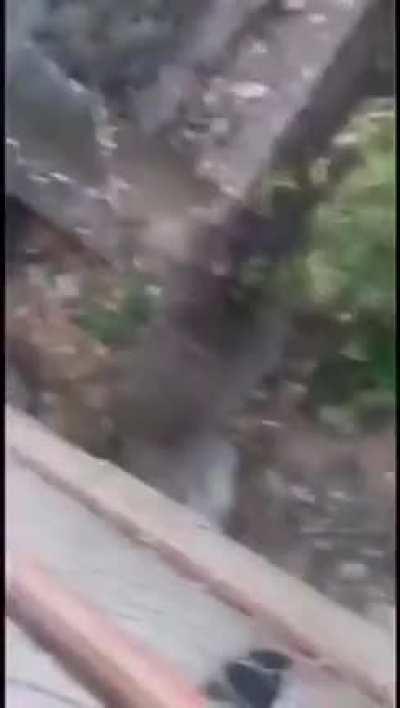 WCGW if I walk on a Bridge Railing