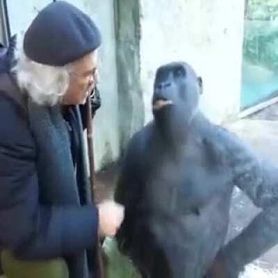 Fuck it philosopher monkey