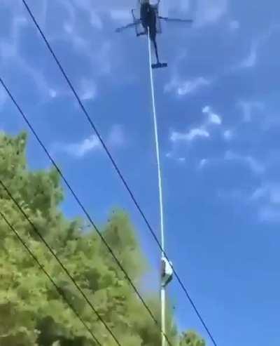 Tree pruning near high voltage power lines requires a lot of precision 😵‍💫