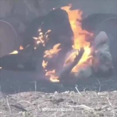 Russians Burn to death next to their BMP-3