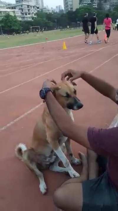 Athlete pampers a street dog