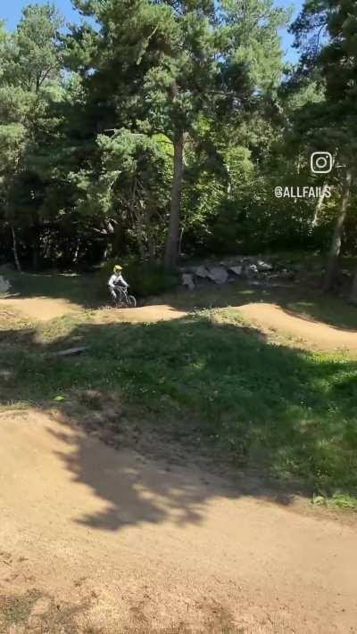 BMX scorpion 