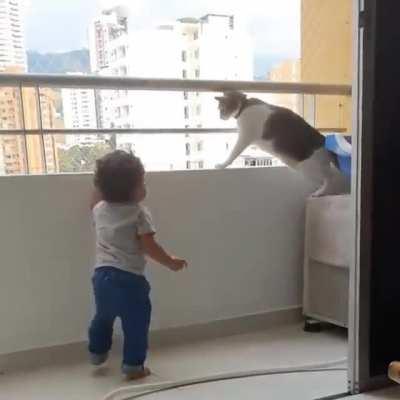 Cat stopping tiny human from climbing the wall