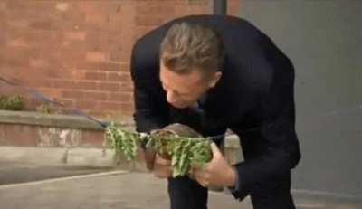 Tortoise opening the new science lab at the University of Lincoln