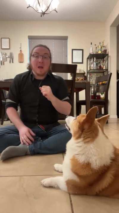 This man’s wife is deaf and when she moved in, his Corgi started picking up on sign language and reacted amazingly to certain situations!