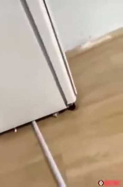 Wet mop vs fridge