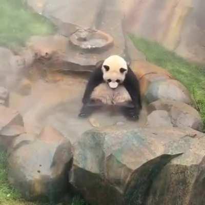 A panda sitting in a pool twiddling its legs