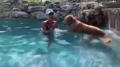 WCGW swimming with my dog