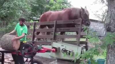 Amish log splitter.