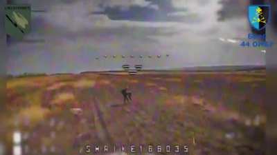 Ukrainian 44th Mechanized Brigade spotted several Russian soldiers attempting to cross a field and targeted them with FPV strike drones. Svatove front, September 2024.