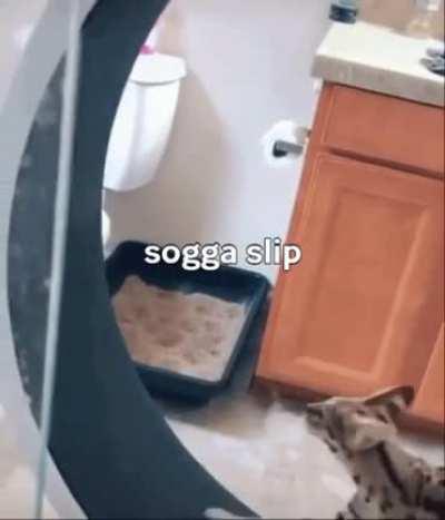 wtf sogga slip?!?!?!??!?!?!?!?!?!?!?!?!?!?