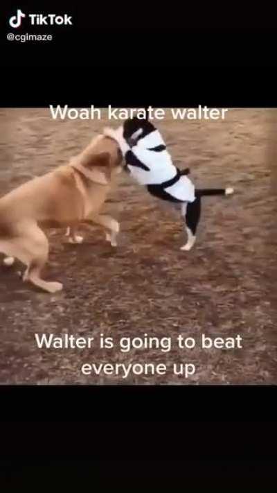 He do be doing karate doe