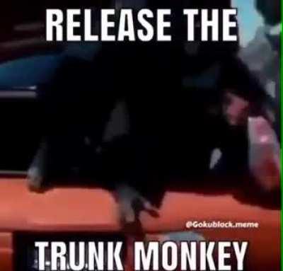 Trunk monke