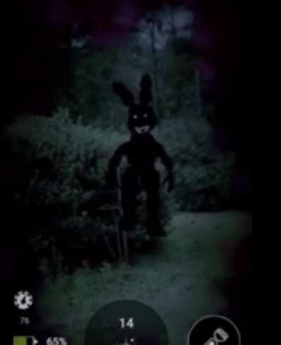 shadow bonnie walking through a bush in fnaf ar with the new occlusion tech, footage by Sonicboom13561