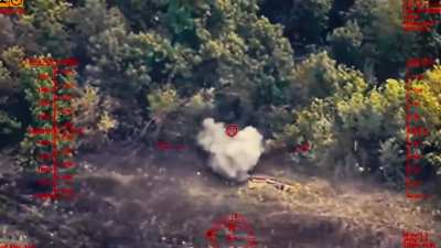 Flying Skull Battalion of the Unmanned Systems Forces of Ukraine destroy Russian tanks and artillery, Kursk region