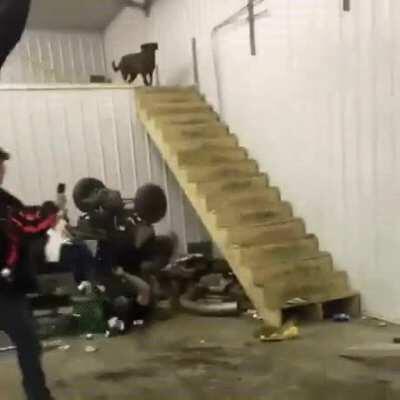 WCGW riding the quad down the stairs