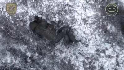 Russian soldier commits suicide after Ukrainian drone drops grenade near him