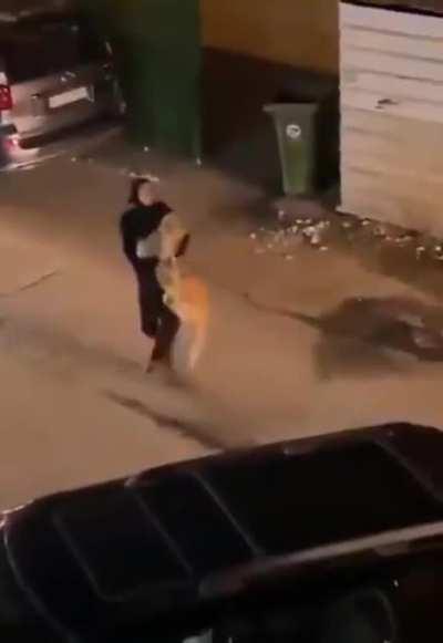 A video showing a #Kuwaiti woman capturing a lion which had escaped