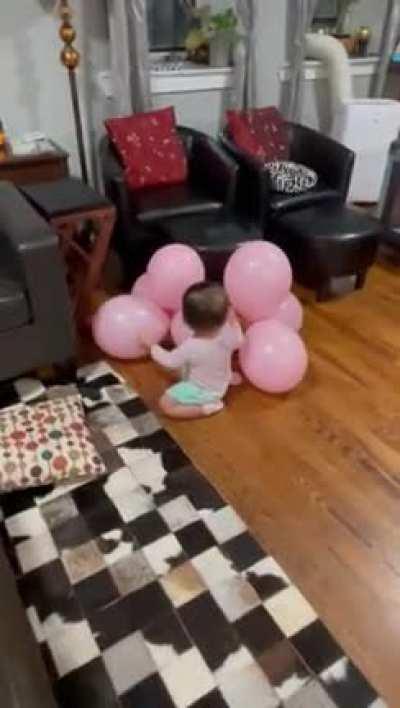 my baby going ape shit on balloons 🍼 🎈