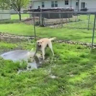 The water seems to have a strange effect on him....