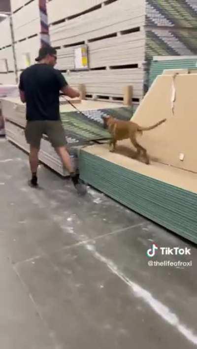 Lady uses Home Depot as her personal dog park.