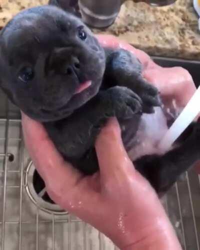 Tiny happy bathtime break