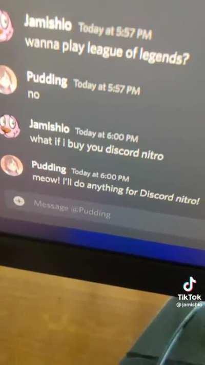 how 2 get discord kitten