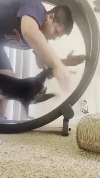 [OC] My cat will sit on the wheel and meow at me until I do this