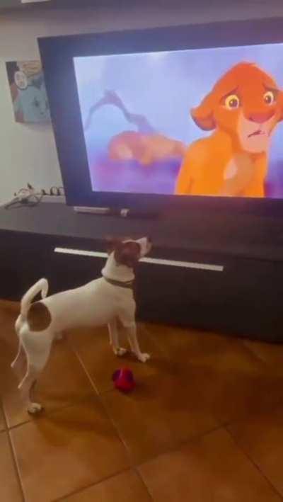 The doggo knew who the villain was..