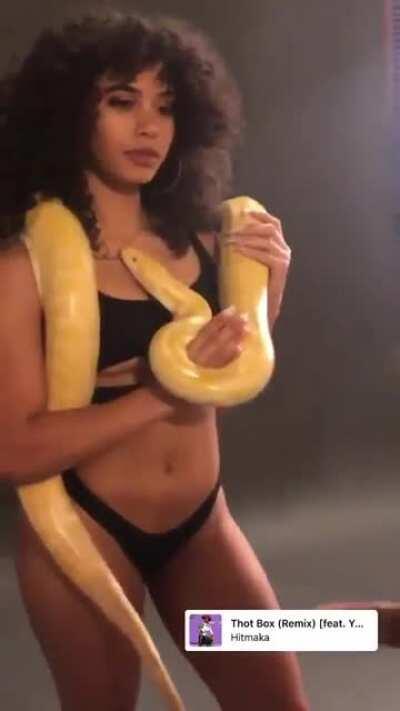 🐍