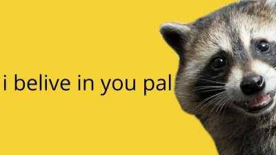 Motivational Racoon