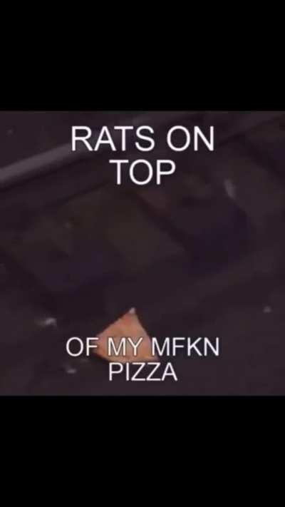 Rats on top of my mfkn pizza