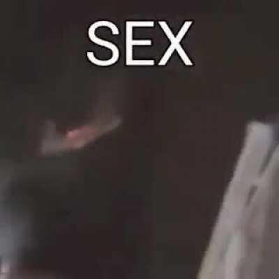 Sex