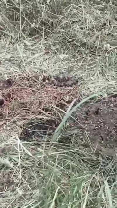 Ua pov: ukrainian man who tried to escape the country accidentally stepped on a mine 