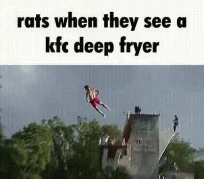 Yum rats