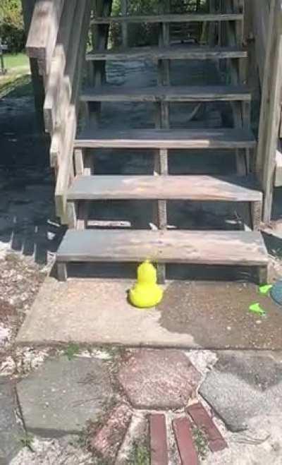 This water balloon’s journey down the stairs.