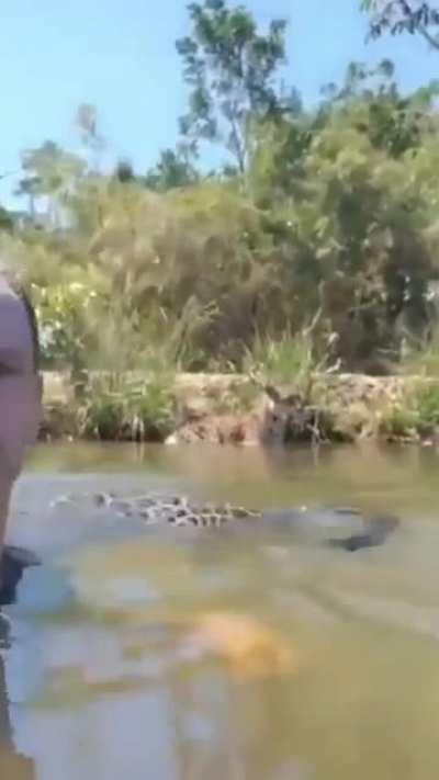 Swimming with your buddy on a hot day