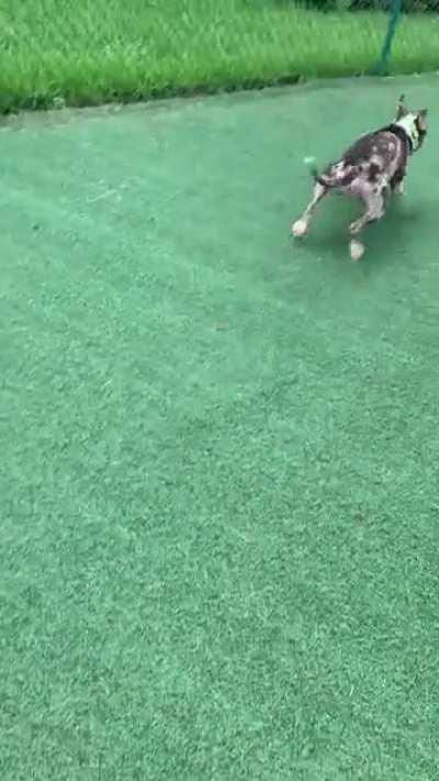 Playground zooms with a 5 star Superman leap 🌟