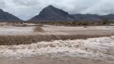 🔥 Death Valley just had it's 4th 'once-in-a-thousand-year' rain event in the past two weeks. 75% of Death Valley’s annual rainfall fell in 3 hours.