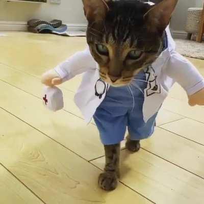 Doctor is coming