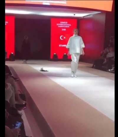 Actual cat walks down catwalk at fashion show